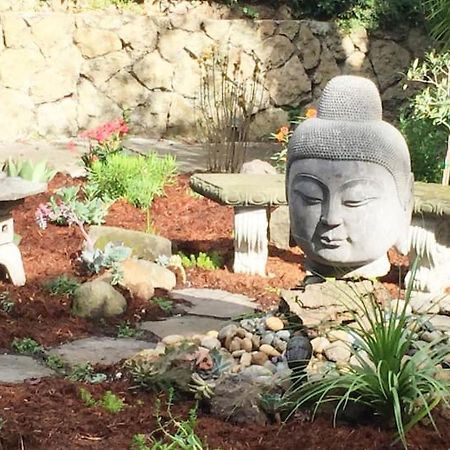 Serene Charming Private Suite Patio, Upscale Berkeley Ngoại thất bức ảnh