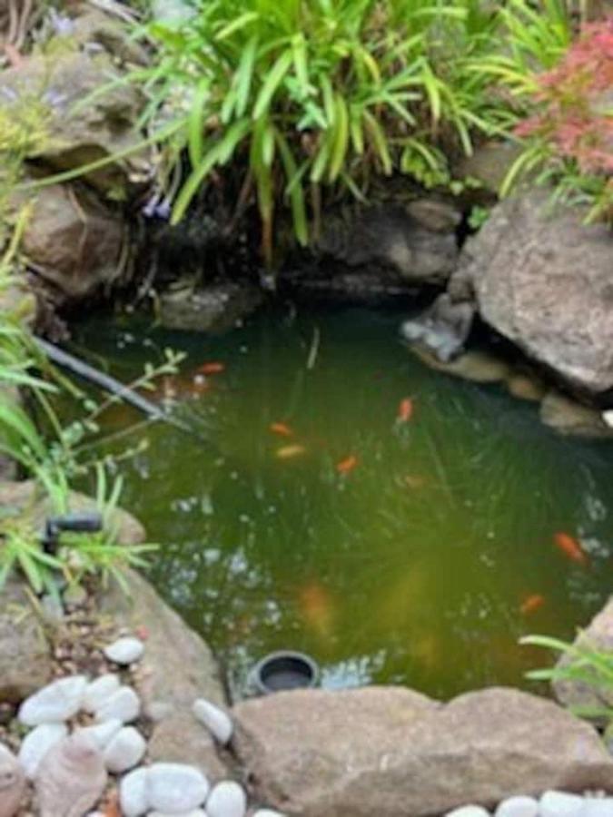Serene Charming Private Suite Patio, Upscale Berkeley Ngoại thất bức ảnh