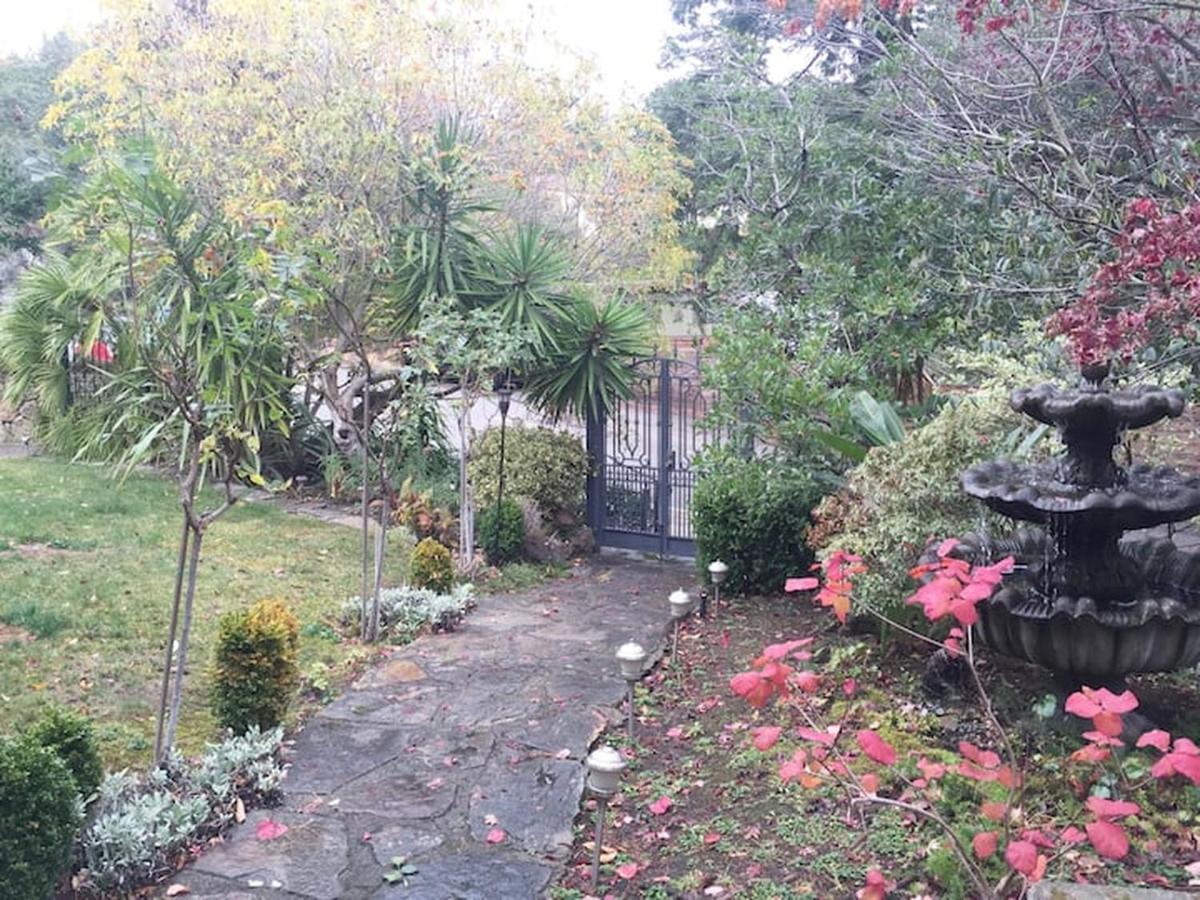 Serene Charming Private Suite Patio, Upscale Berkeley Ngoại thất bức ảnh